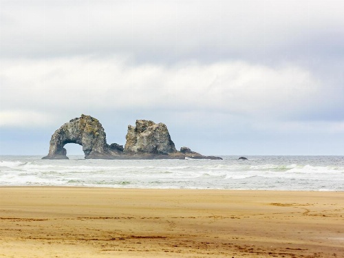 645 N Pacific St Townhouse Unit B image 3