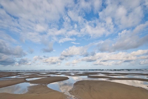 645 N Pacific St Townhouse Unit B image 4